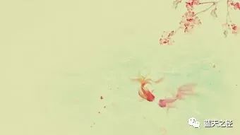 诗经易错点,诗经易错词