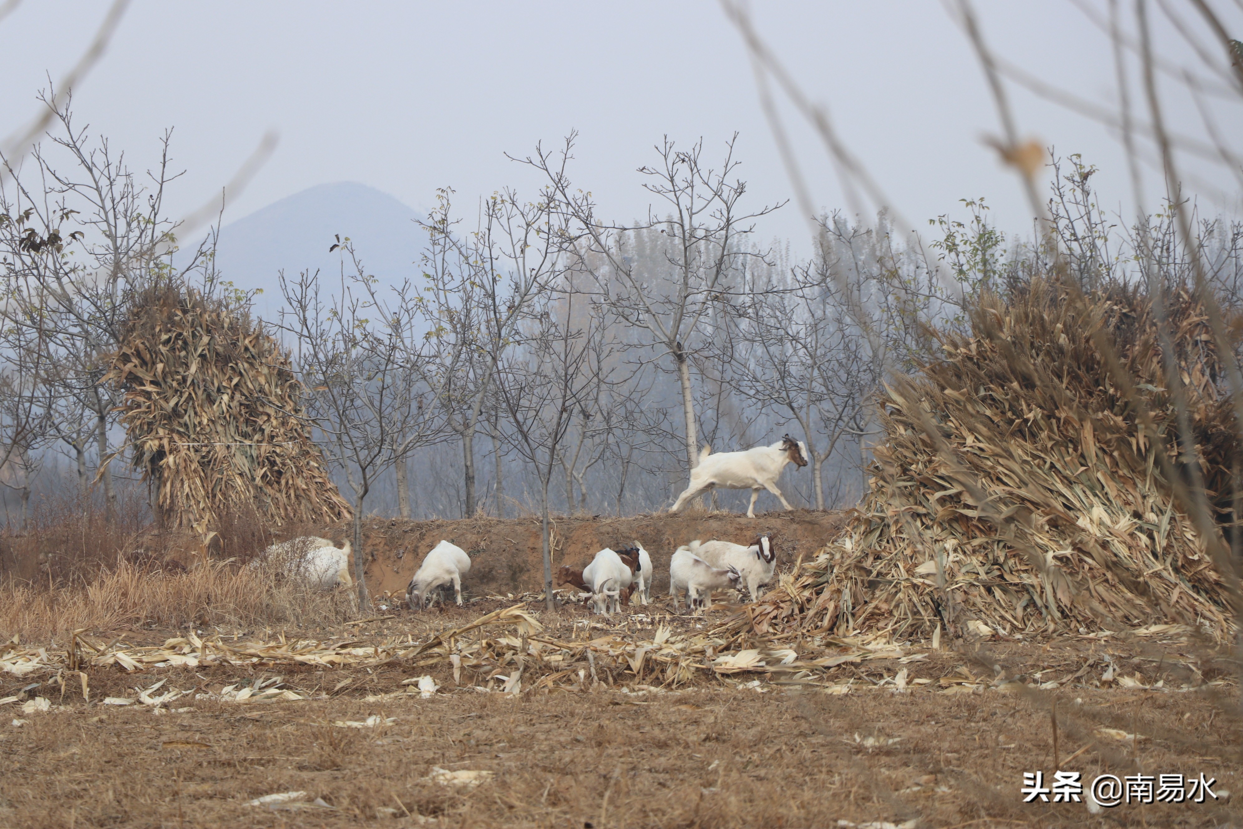 家乡风景带你一起感受自然的味道,令你难以忘怀的家乡的味道