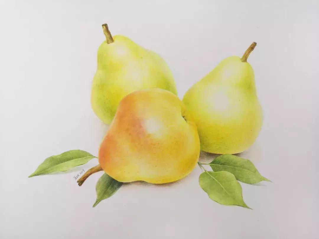 香梨彩铅画,彩铅肉肉的画法