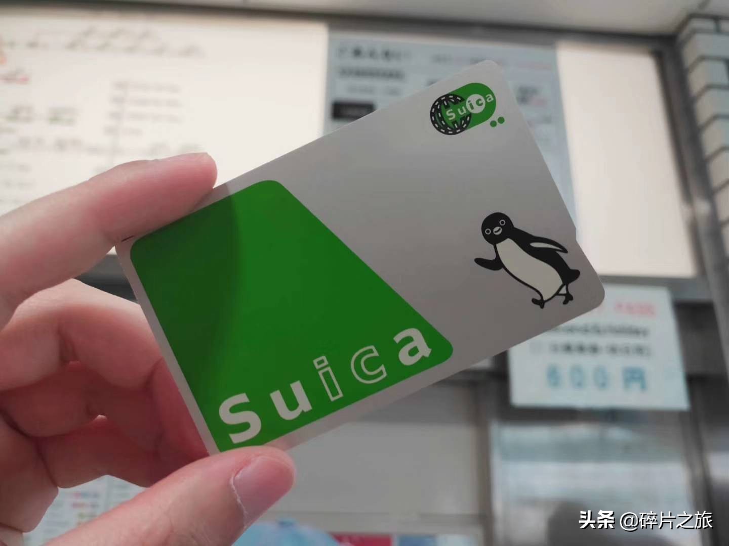 豪华游轮日本游旅游攻略,特价日本豪华游轮旅游攻略