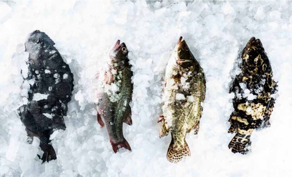 京城年夜饭哪家最好,京城多家老字号年夜饭火热开订