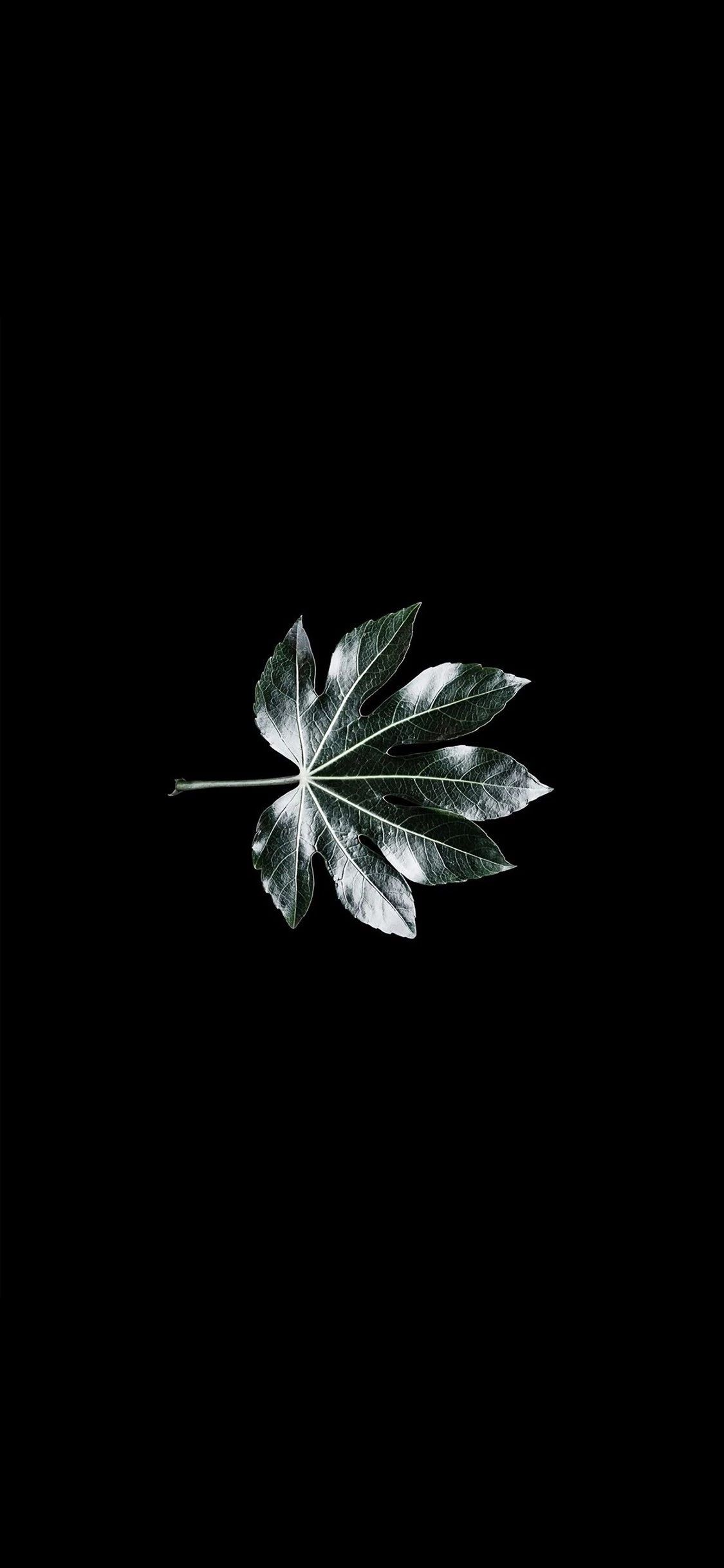 今日超好看质感壁纸（1080x1920）,1125x2436两种分辨率