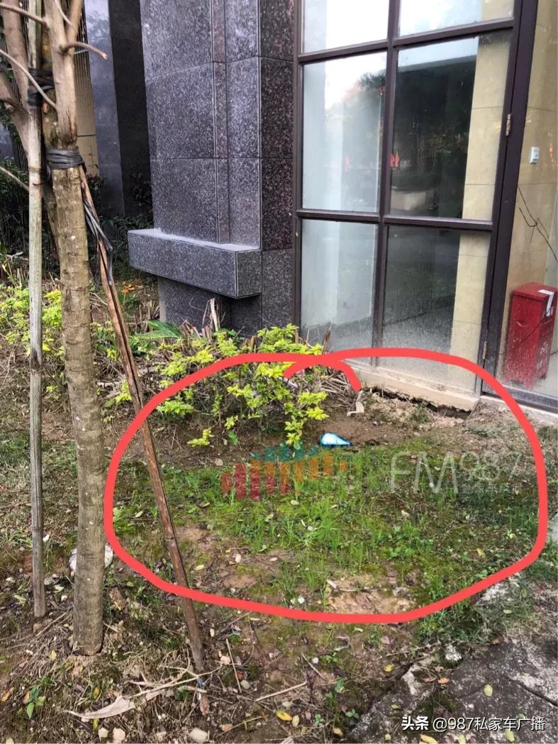 突发！福州一男童疑似在小区坠楼身亡，家属还未现身