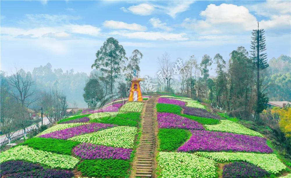 2020年4月成都双流赏花地点,双流踏青赏花地