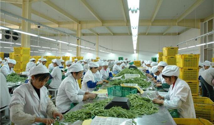 农村小型加工办厂项目有哪些,2022农村小型加工办厂项目有哪些