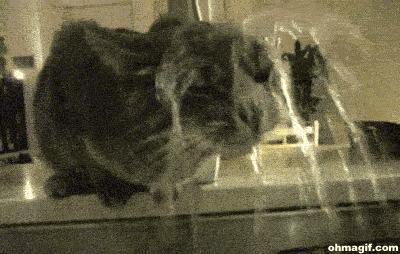 面膜敷的时间长了会有什么反作用,为什么有的面膜一用就有明显效果