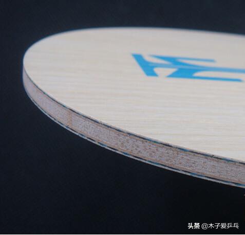 蝴蝶viscaria底板是内置吗,蝴蝶波尔alc直板底板尺寸