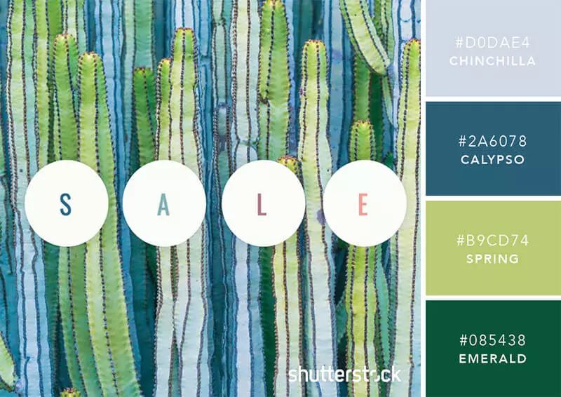 色彩搭配个人形象设计,色彩搭配都是业主亲自选择