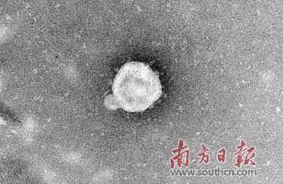 以案说事！这群广东“侦探”在战疫中破解了一个个“悬案”！