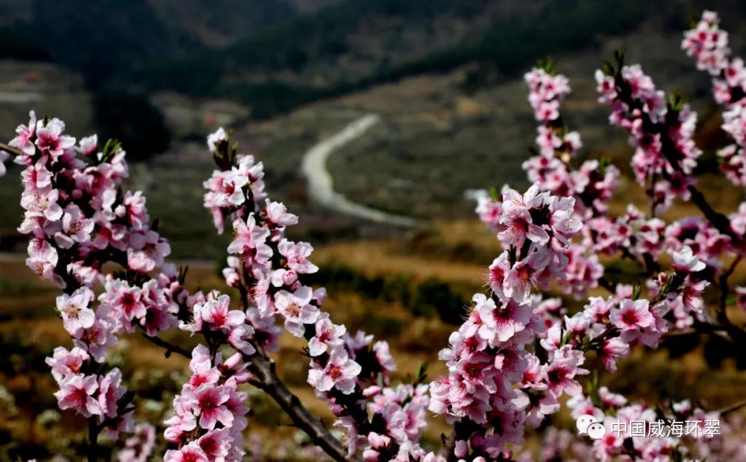 环翠景色,环翠美景