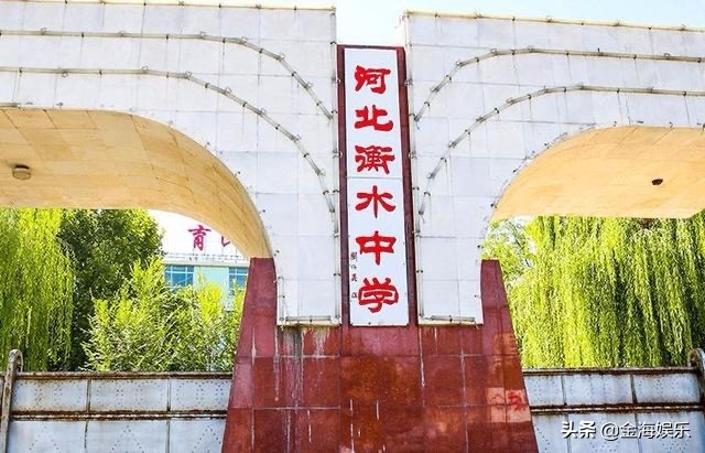衡水学霸谷文泽,谷文泽衡水中学