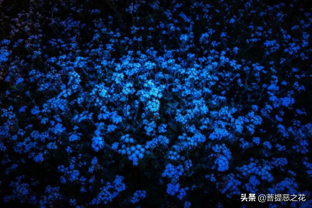 欲望的原则,欲望潜伏期