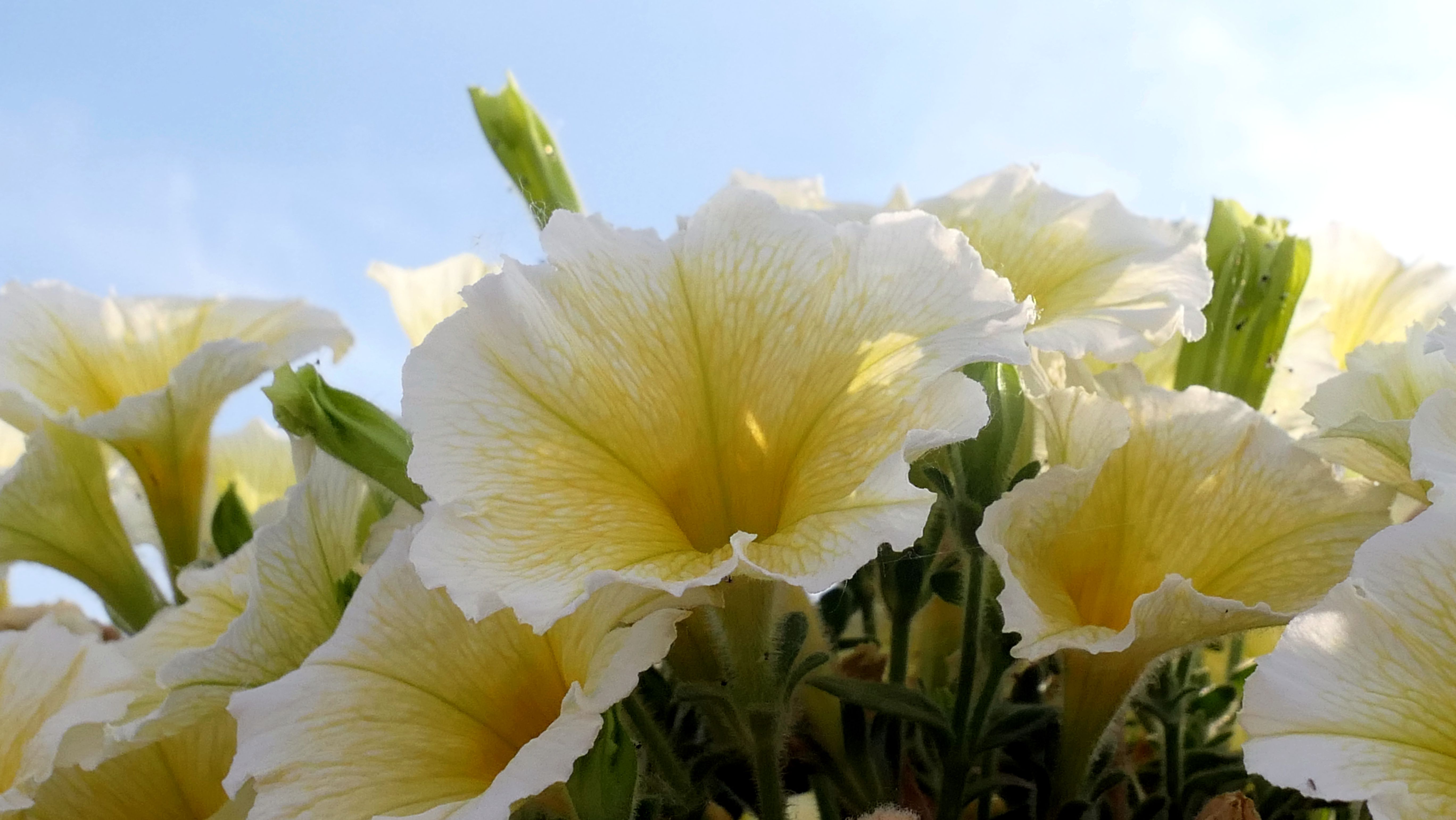 最美洛阳好风景,洛阳美丽风景视频