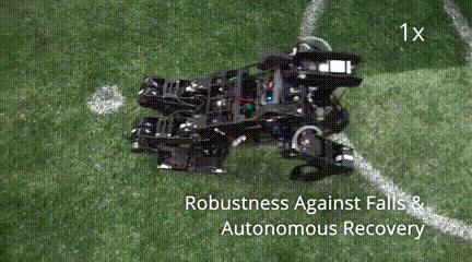 足球世界杯机器人比赛,机器人躲避球赛