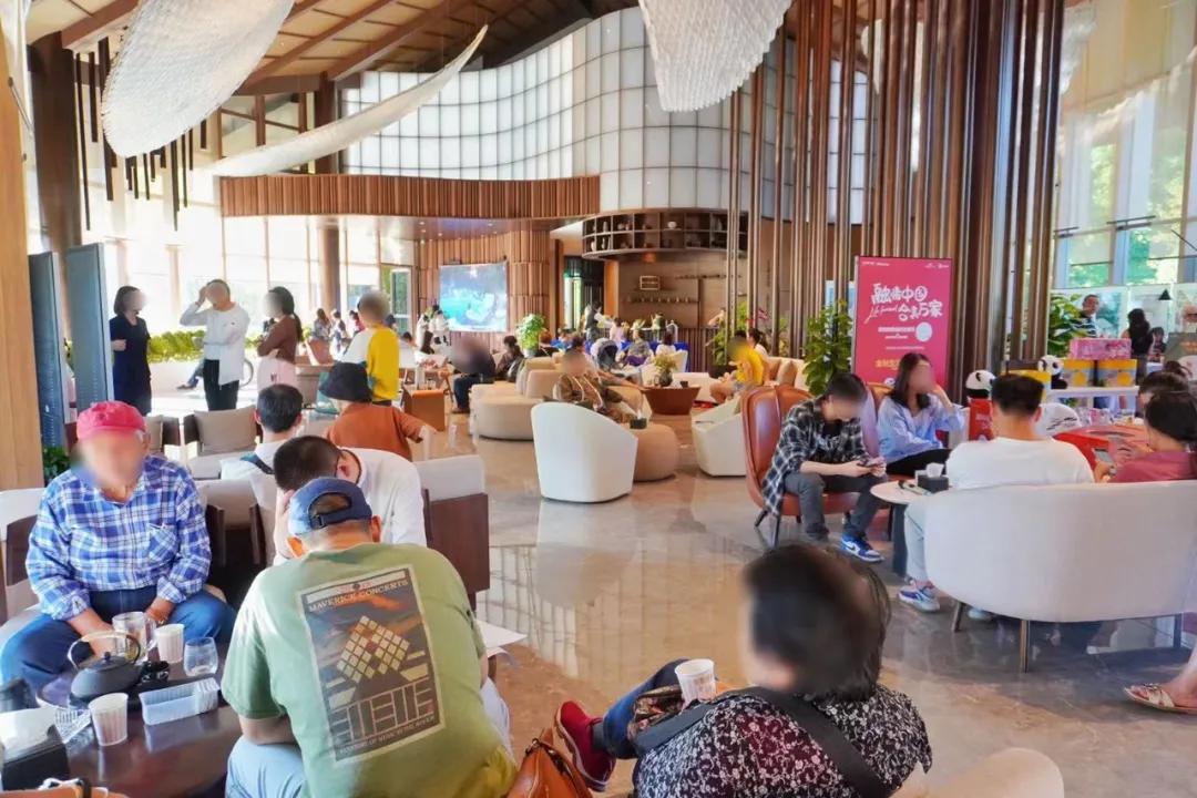 地产观察热点,地产深度观察