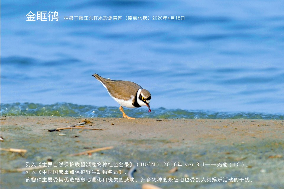 榻愰綈鍝堝皵瀚╂睙涓滄按鐝嶇鍏洯,榻愰綈鍝堝皵瀚╂睙涓滄按鐝嶇婀垮湴鍏洯