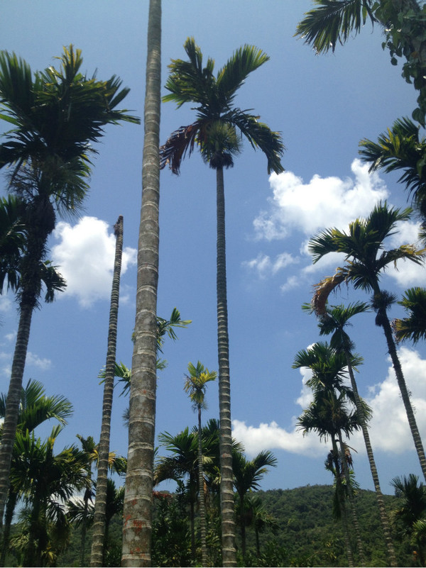 三亚自由行旅游攻略超详细哦,三亚旅游自由行全攻略