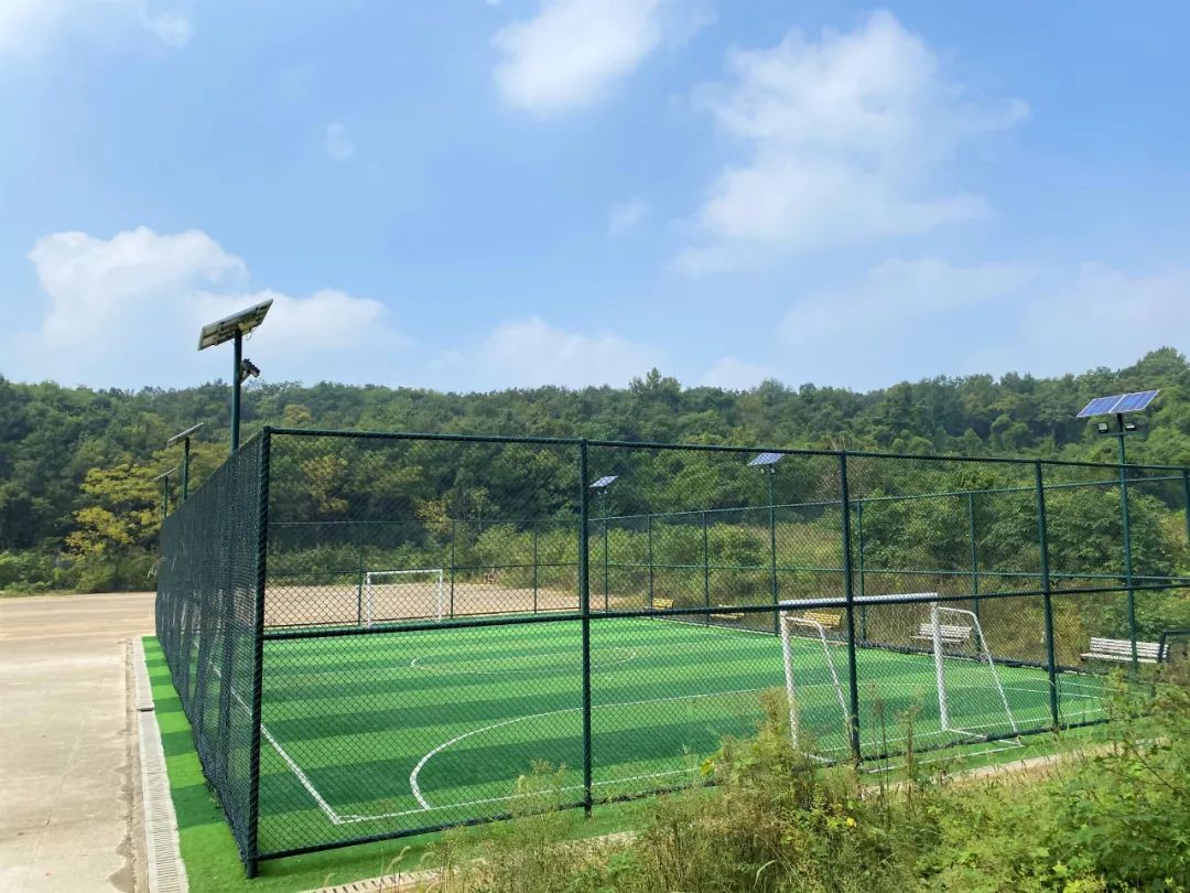 华丽转身木鱼商圈,华丽转身成生态绿廊