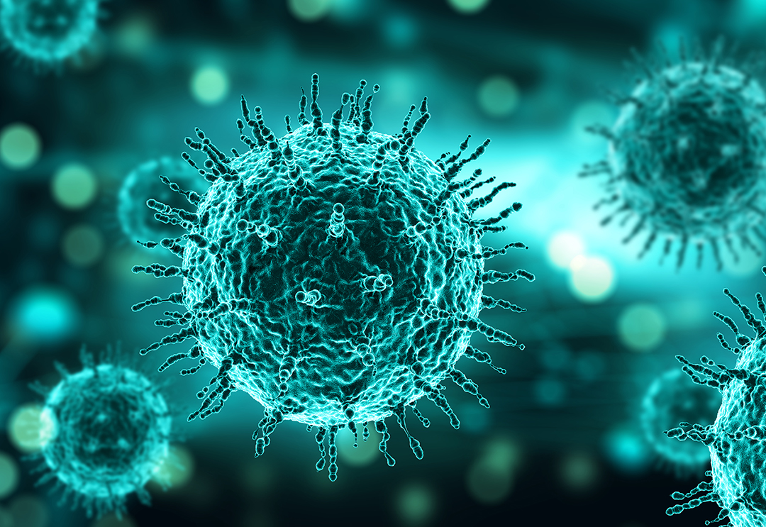 我梦到丧尸病毒爆发了,我梦到丧尸爆发了