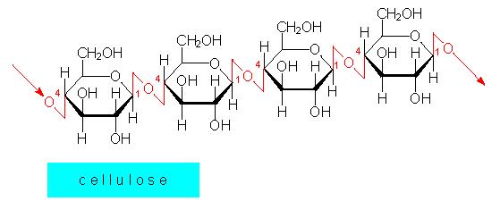 青霉素可以治哪些病,青霉素用药需要注意什么