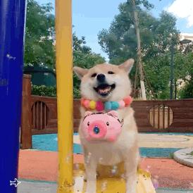 电脑最不应该做的五个设置,电脑实用设置技巧