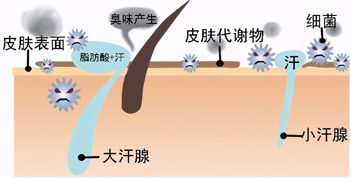 腋臭怎么办什么方法最有效,最新腋臭的最佳治疗方法