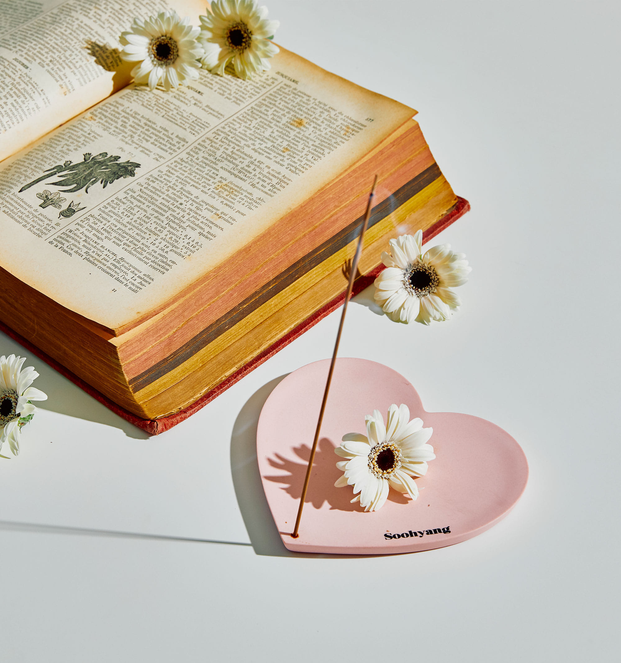 6款小*香众**氛蜡烛陪伴走过秋冬