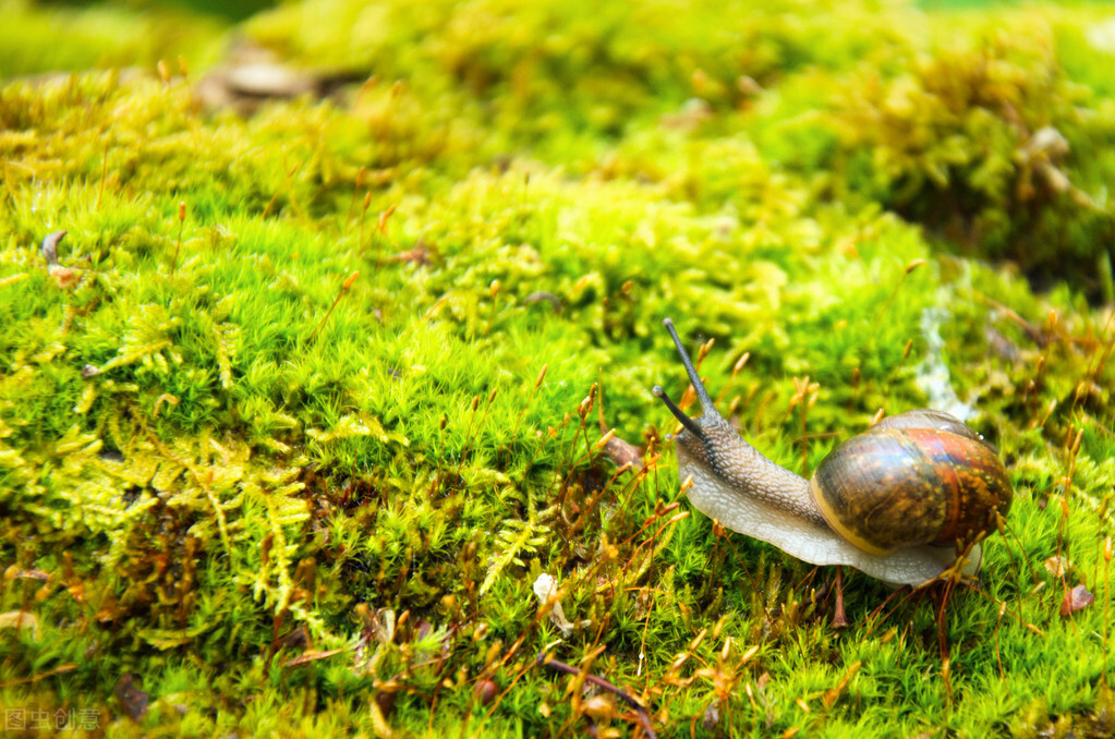 水体富营养化原因及污染防治措施,水体富营养化有什么整治的方法