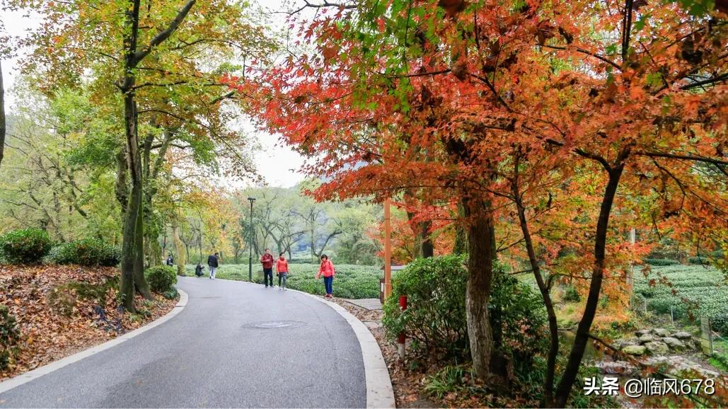 6月份的杭州九溪好看吗,这个季节杭州去哪里玩