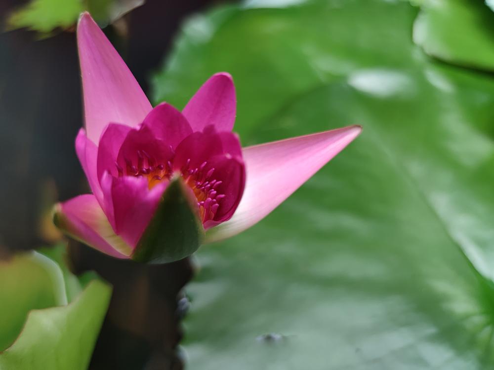 二手的小米10pro值得购买吗,小米10pro二手值得买吗