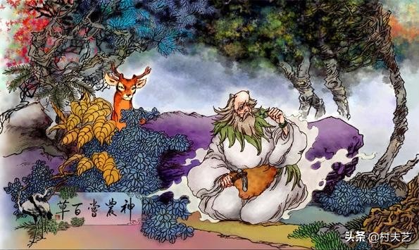 中医关于血的经典,中医基础理论书籍血证论