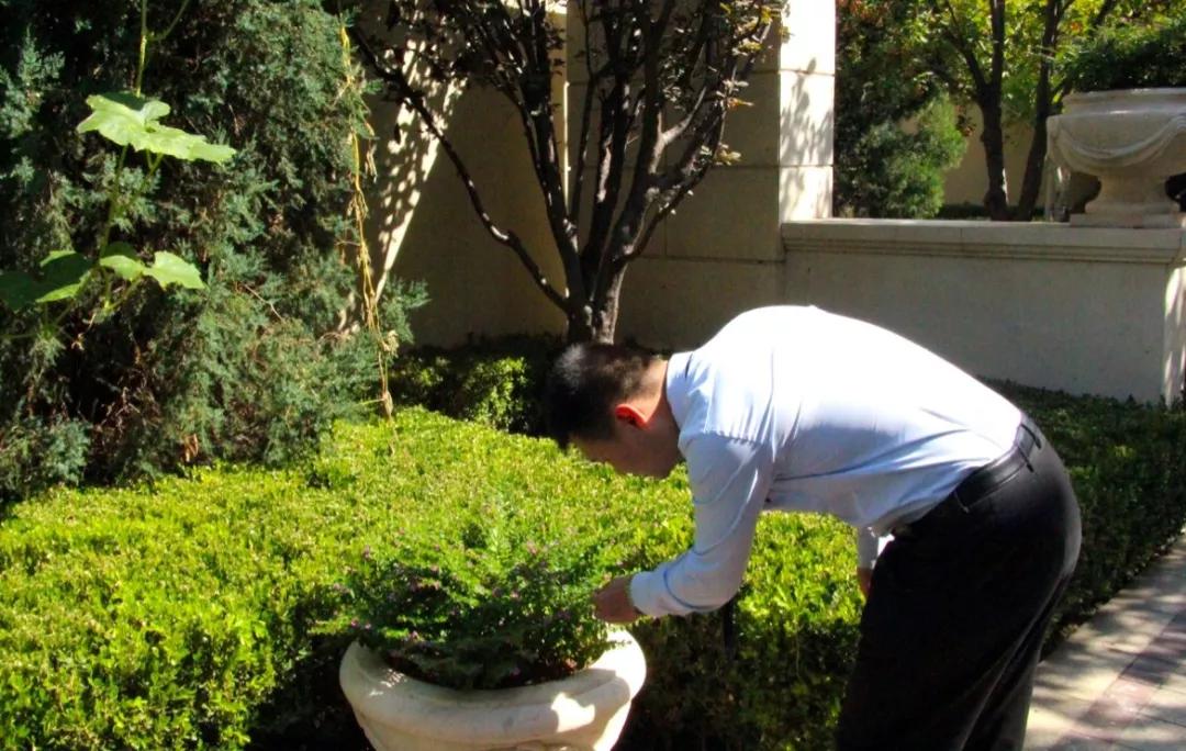 一个成熟物业管家的四个方法,物业管家需要的知识技能