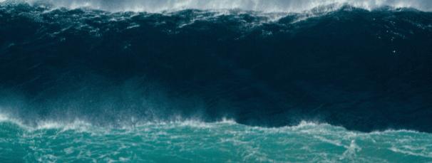 是你们说的全程高潮,但结局我想骂街