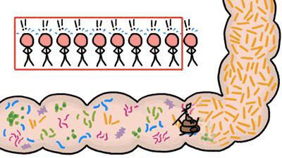 奥利司他排出油可以瘦吗,奥利司他可以排顽固脂肪吗