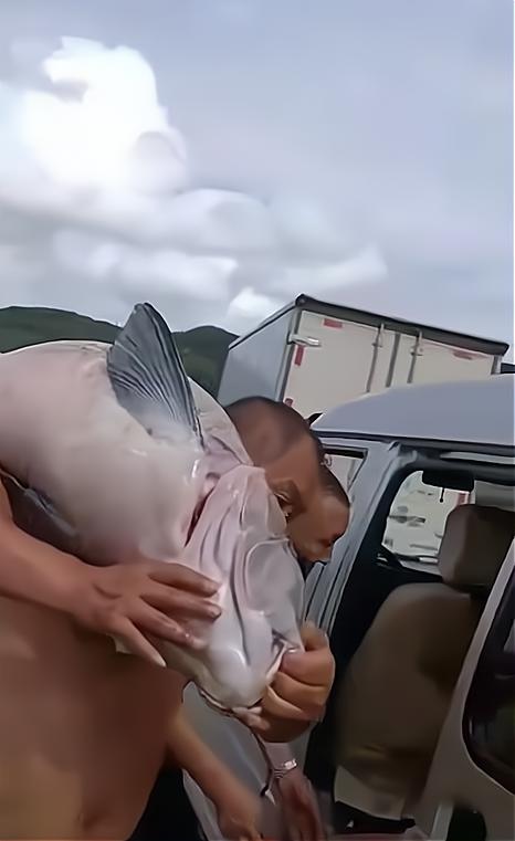 一男子钓鱼被一大妈买下放生,沈阳男子在棋盘山水库钓到大鱼