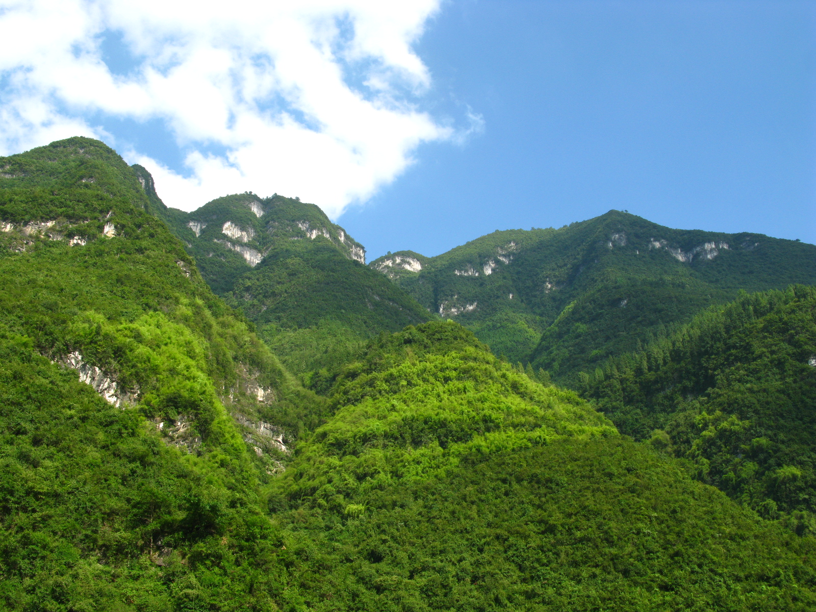 生活在别处武隆,武隆印象带来了什么