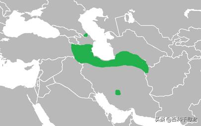 美洲豹是最强大的猫科,最凶猛的猫科动物美洲豹