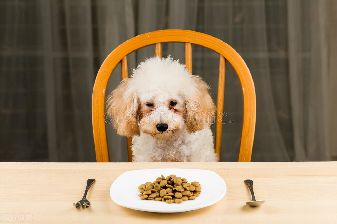 狗狗来完月经后又不吃饭什么原因,狗狗不想吃饭用什么药