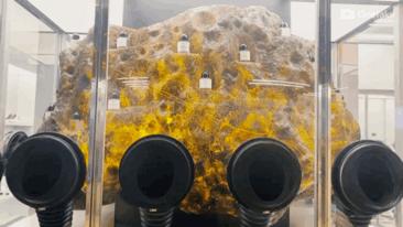 越来越飘,日入10亿的商场我也敢....