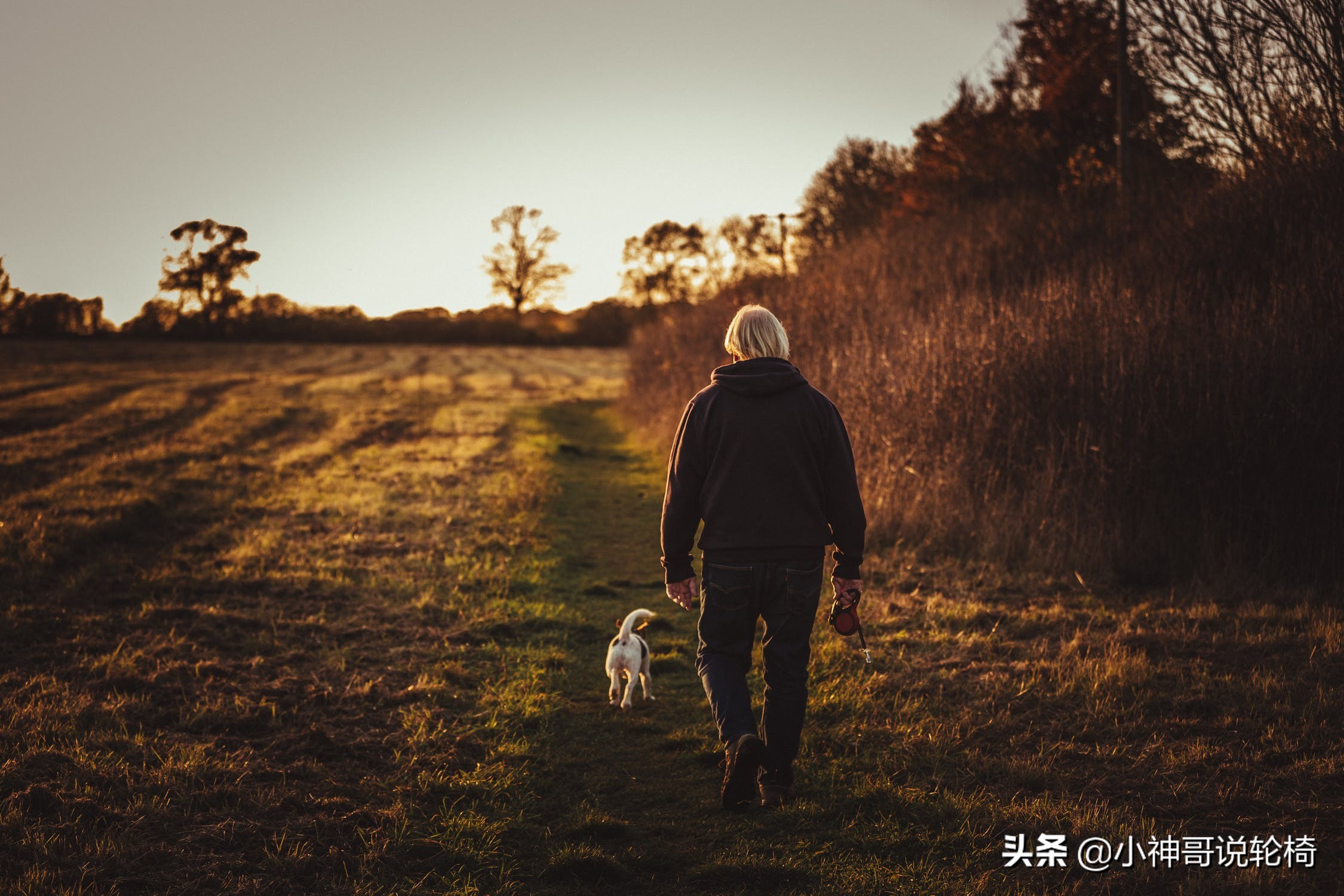 电动轮椅年销额破百亿,老人能用吗?好不好用?