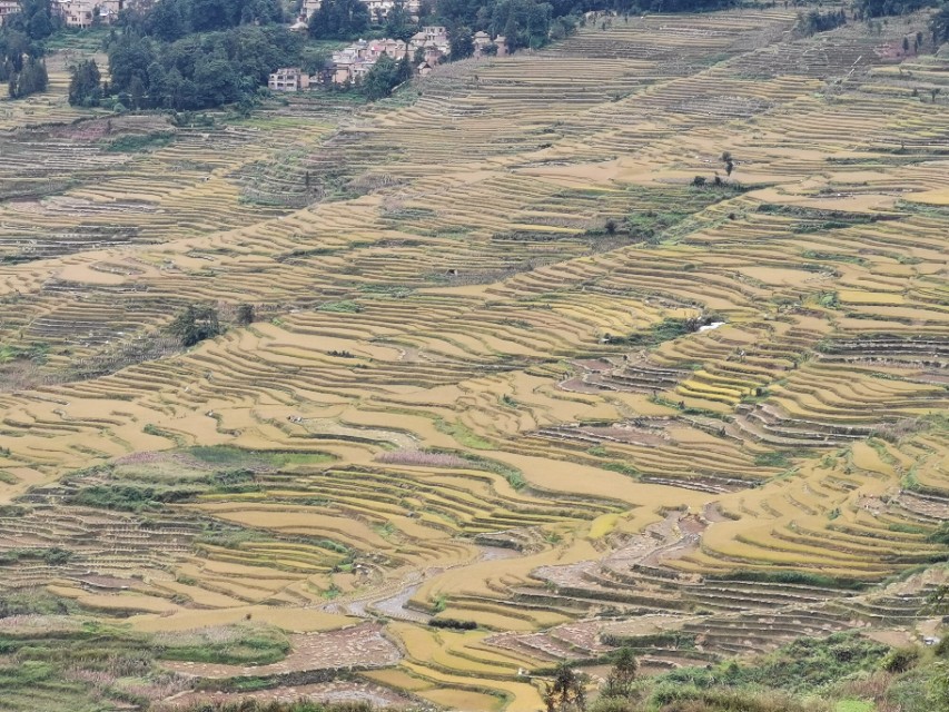 越南老街离河口多远,走进云南河口口岸看越南老街