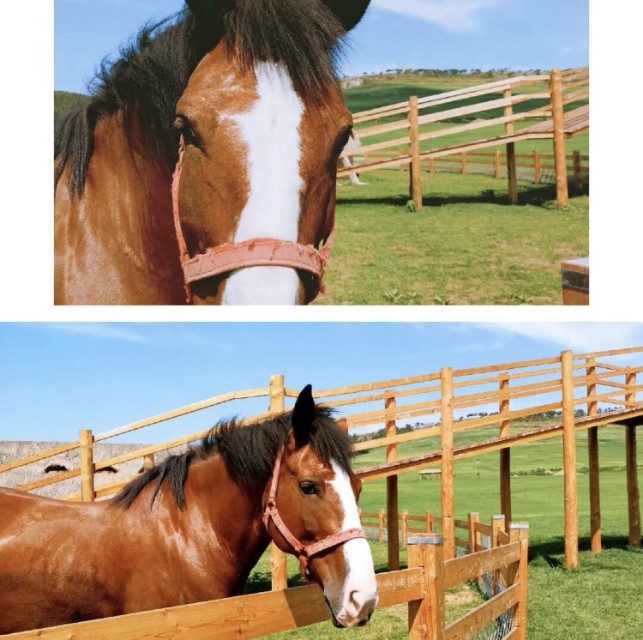 三寰牧场露营记,幼儿园游玩攻略三寰牧场