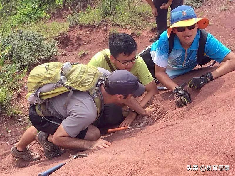 北京大学分数线最低的专业排名榜,北京大学冷门专业名单