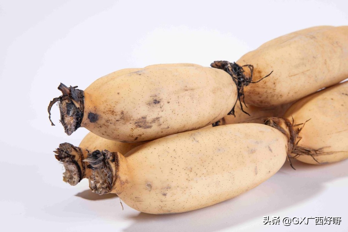 柳江玉藕,柳州柳江莲藕