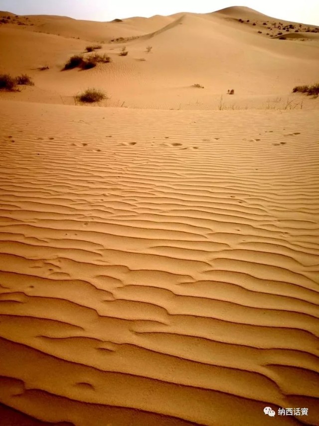 叶紫被雷劈穿越到异界,关于叶紫的穿越小说