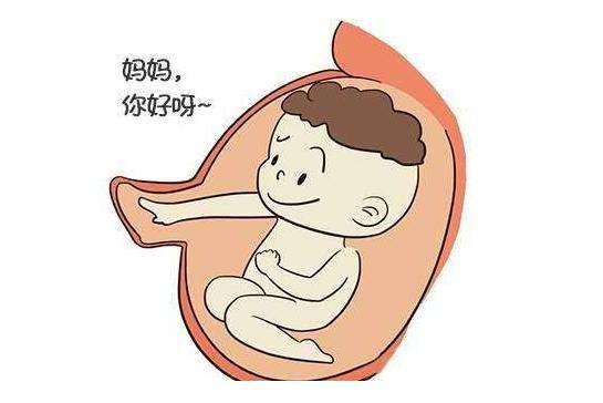 孕妇可以用的护肤品有哪些牌,御泥坊护肤品孕妇可以用吗