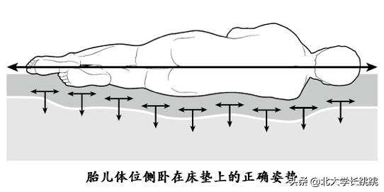c罗和詹姆斯谁的巅峰期更强,c罗跟詹姆斯谁更自律