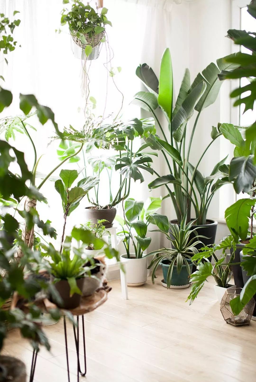 小夫妻98㎡家意外走红!登北京地铁广告,这个家才是都市里的奢侈