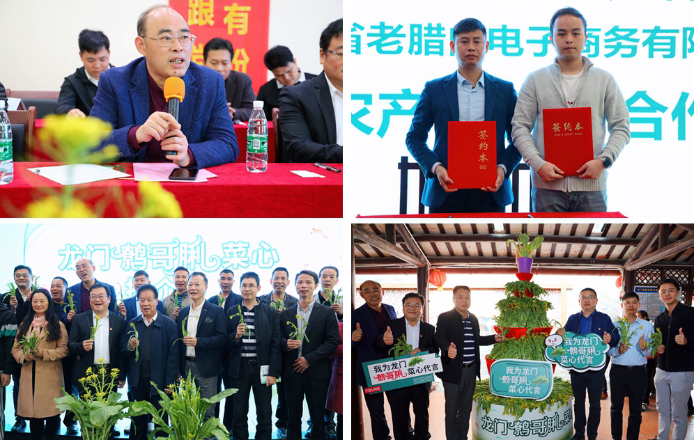 广东人过年必吃的青菜,广东人年夜饭必有的一道菜