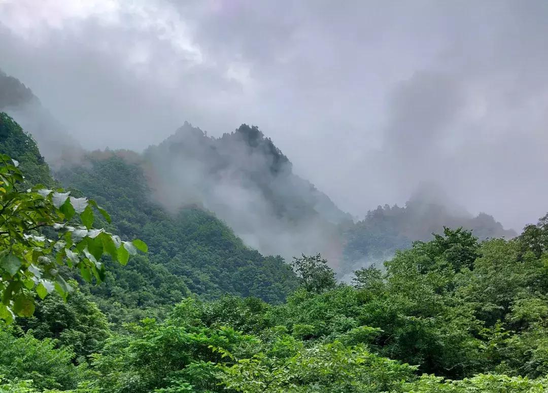 神农架攻略书,重庆出发神农架三日自驾游攻略